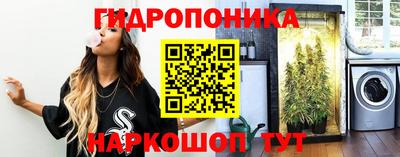 мдпв Пугачёв