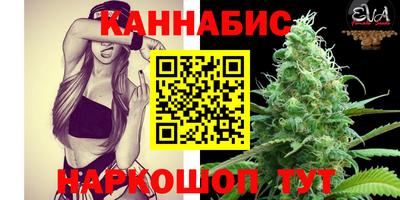 мдпв Пугачёв